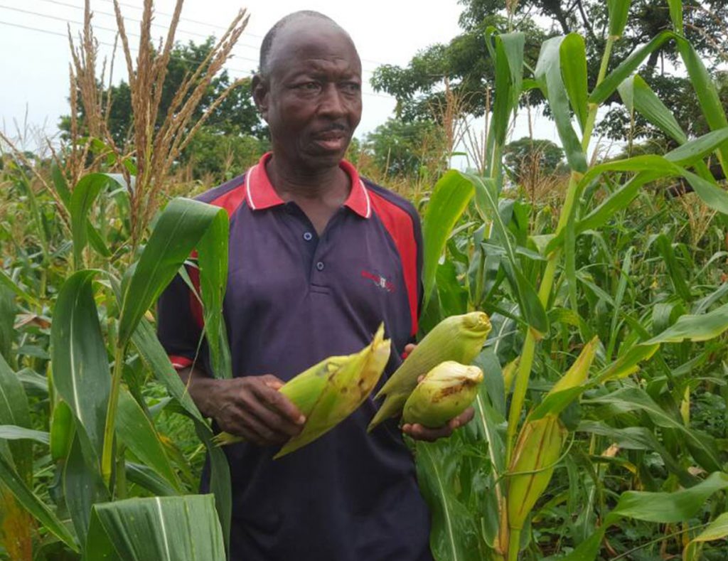 Maize Farm Agricultural Manufacturing Group Limited